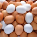 Poultry Eggs