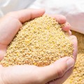 Poultry Feed Additives