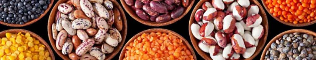 Seeds Seeds