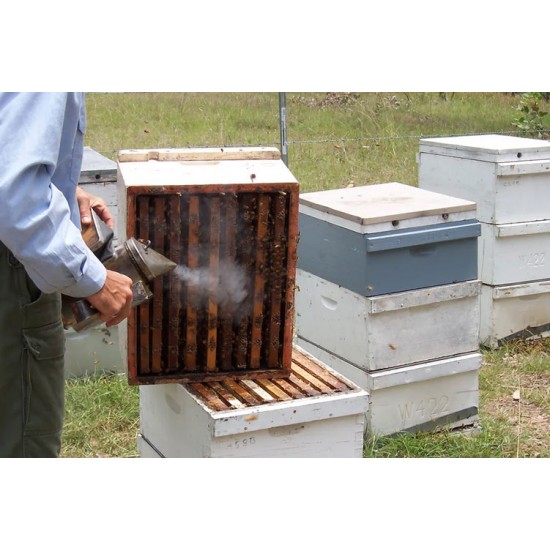 Apis Mellifera Beehive Brood Box with Bees, Super Chamber – Complete Set