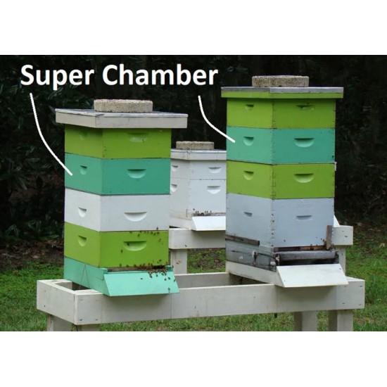 Apis Mellifera Beehive Brood Box with Bees, Super Chamber – Complete Set