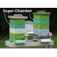 Apis Mellifera Beehive Brood Box with Bees, Super Chamber – Complete Set