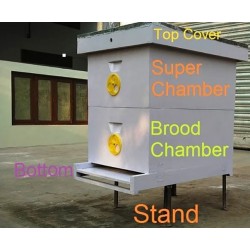Apis Mellifera Beehive Brood Box with Bees, Super Chamber – Complete Set