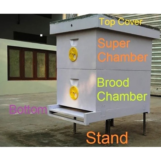Apis Mellifera Beehive Brood Box with Bees, Super Chamber – Complete Set