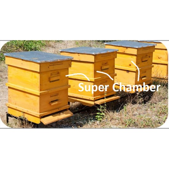 Apis Mellifera Beehive Brood Box with Bees, Super Chamber – Complete Set