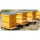 Apis Mellifera Beehive Brood Box with Bees, Super Chamber – Complete Set