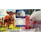 Dicalcium Phosphate Feed Grade (DCP) – 200gm