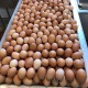 Country Chicken Eggs – Desi Eggs (Pack of 30)