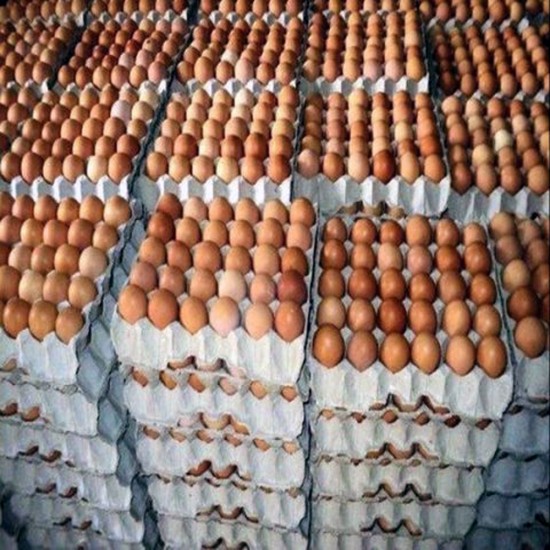 Country Chicken Eggs – Desi Eggs (Pack of 30)