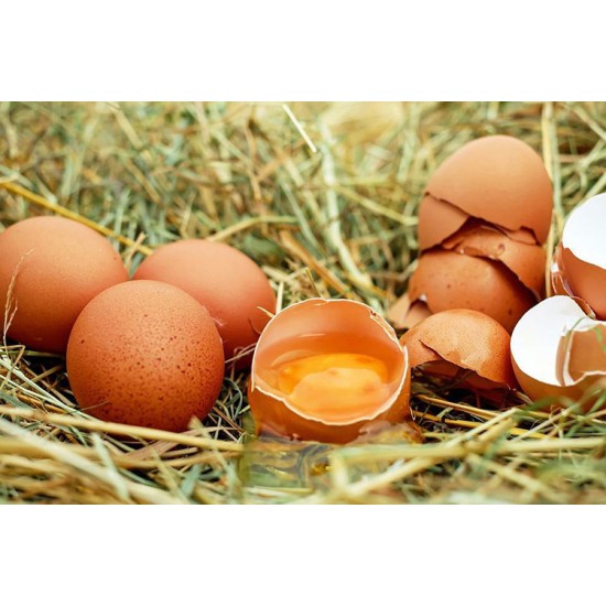 Country Chicken Eggs – Desi Eggs (Pack of 30)