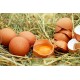 Country Chicken Eggs – Desi Eggs (Pack of 30)