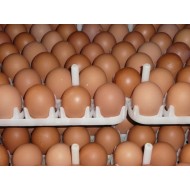 Country Chicken Eggs – Desi Eggs (Pack of 30)