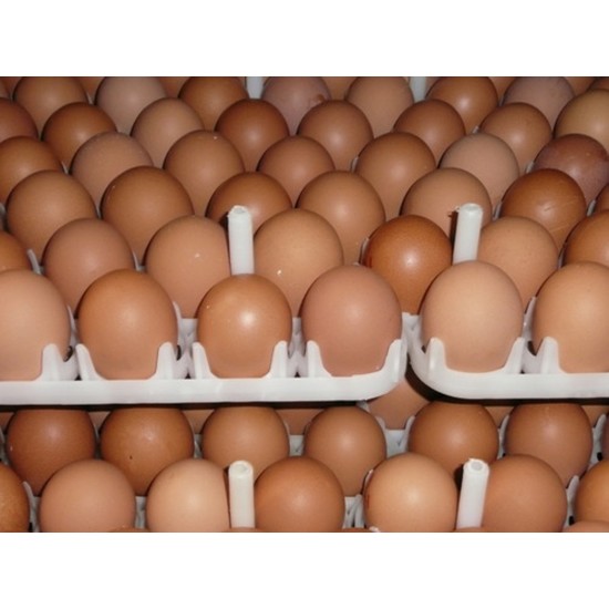 Country Chicken Eggs – Desi Eggs (Pack of 30)