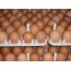 Country Chicken Eggs – Desi Eggs (Pack of 30)