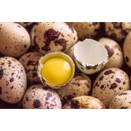 Quail Eggs – High Protein, Farm Fresh (Pack of 30)