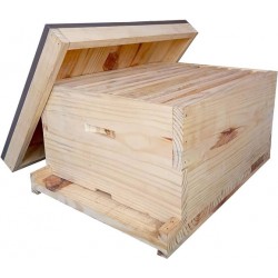 Apis Mellifera Beehive Brood Box (Without Bees)