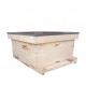 Apis Mellifera Beehive Brood Box (Without Bees)
