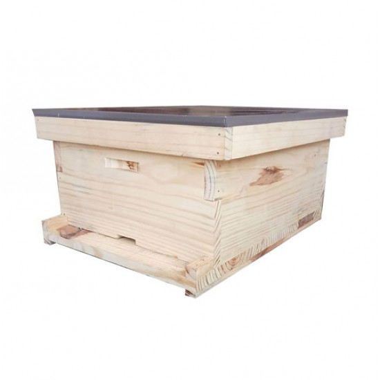Apis Mellifera Beehive Brood Box (Without Bees)