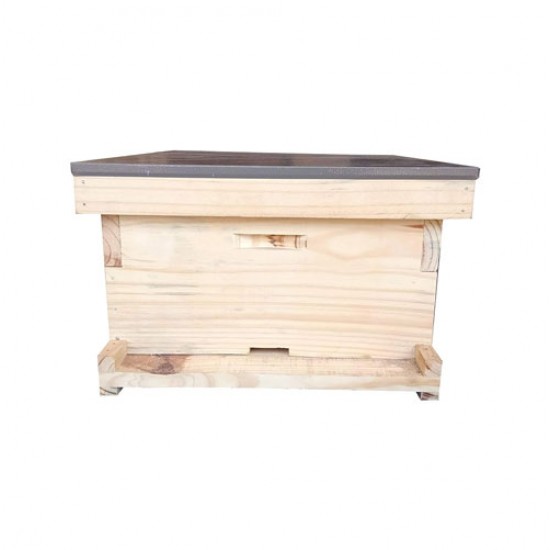Apis Mellifera Beehive Brood Box (Without Bees)