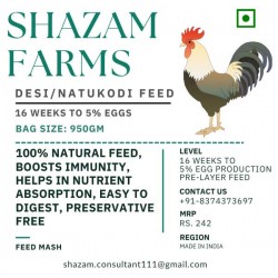 Desi Poultry Pre-Layer Feed (16 Weeks – 5% Egg Production)