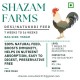 Desi Poultry Developer Feed (7–16 Weeks)