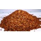 Hedge Lucerne Seeds (Desmanthus virgatus) – Dashrath / Velimasal / Dedmanthus