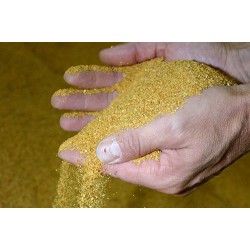 Dried Maize – Crushed for Animal Feed | Energy-Rich Feed Ingredient