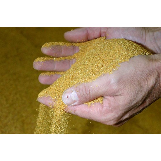 Dried Maize – Crushed for Animal Feed | Energy-Rich Feed Ingredient